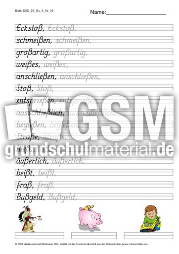 DSS_2S_Bu_ß_Nr_09.pdf